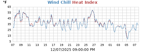 apparent temperature